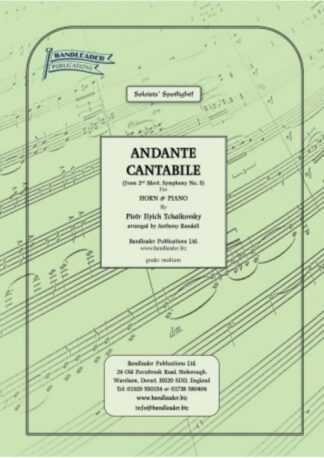 ANDANTE CANTABILE